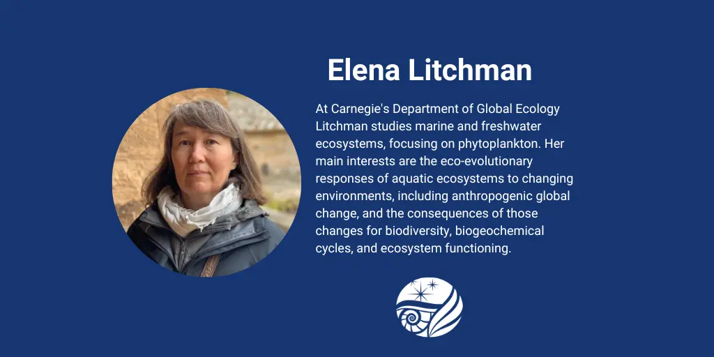 Overview of new hire Elena Litchman