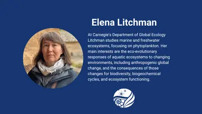 Overview of new hire Elena Litchman