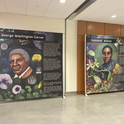 HBCU artwork honoring George Washington Carver and Edmond Albius in hallway 